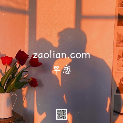 zaolian.com